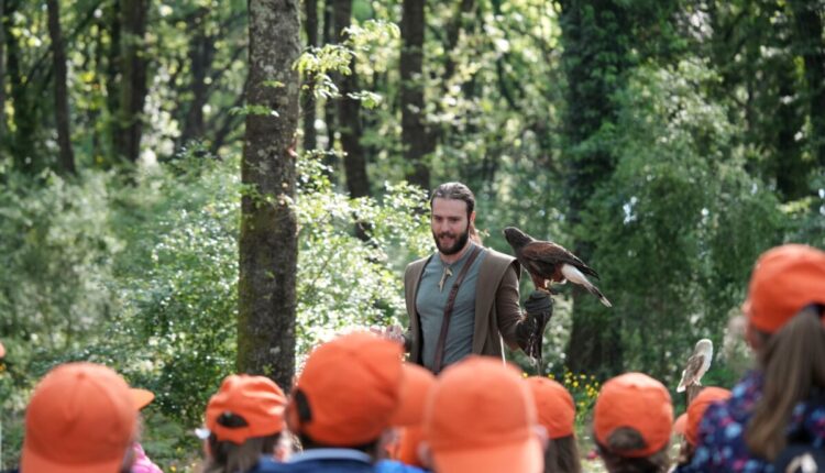Frosinone, scuole e scout alla scoperta degli "Amici Alberi"