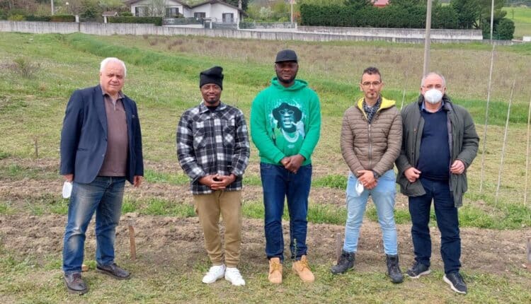 Potenza, nascono i primi frutti dal progetto LGNetEA