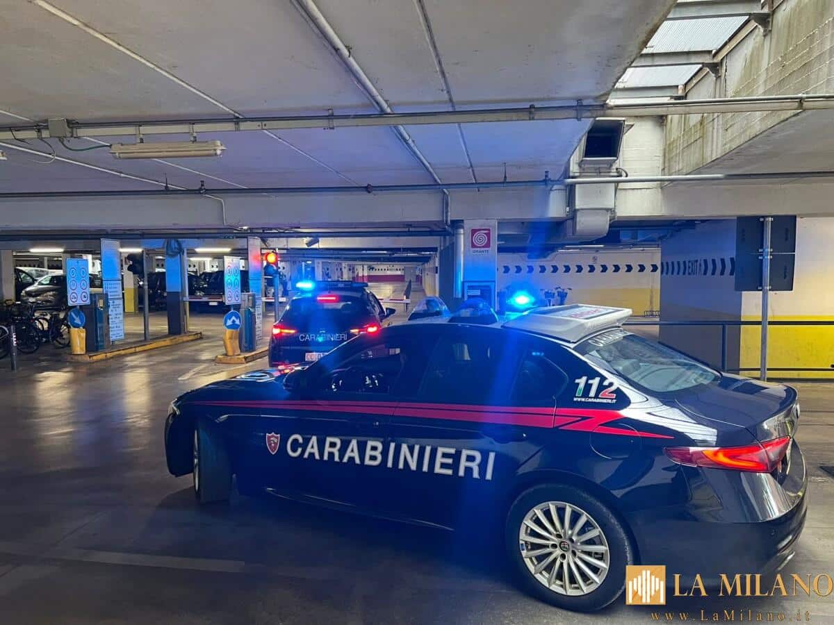Lucca, individuato l'autore dei furti al parcheggio "Magazzini"