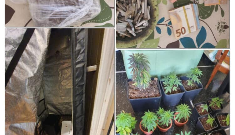 Genova, spaccia dal divano di casa: trovate eroina e hashish