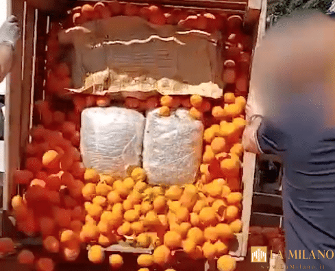 Torino, 70kg di droga nascosti tra le casse di arance