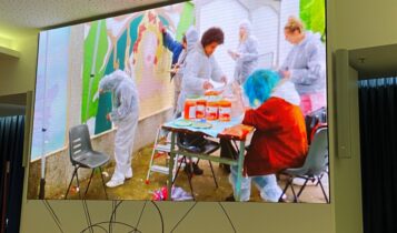 Cologno Monzese e Regione, insieme per il progetto 'Il contorno decorato'