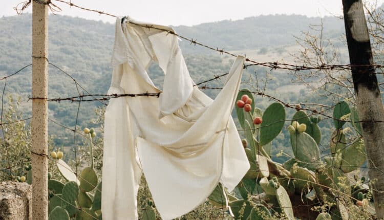 Piacenza, in mostra Nicola Buonomo, "L’isola maggiore”
