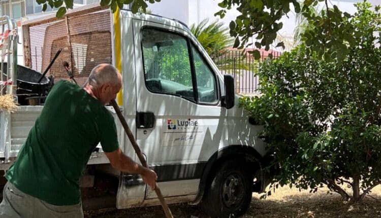 Lecce, Verde nelle marine e parchi, affidati i servizi a Lupiae