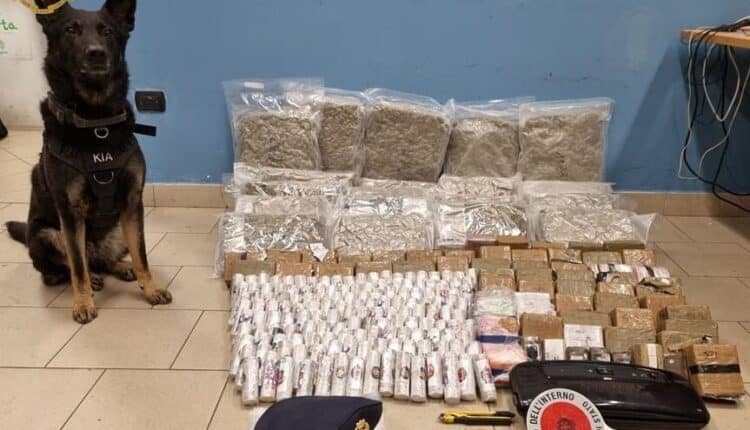 Milano, sequestrati oltre 80 kg di droga: un arresto