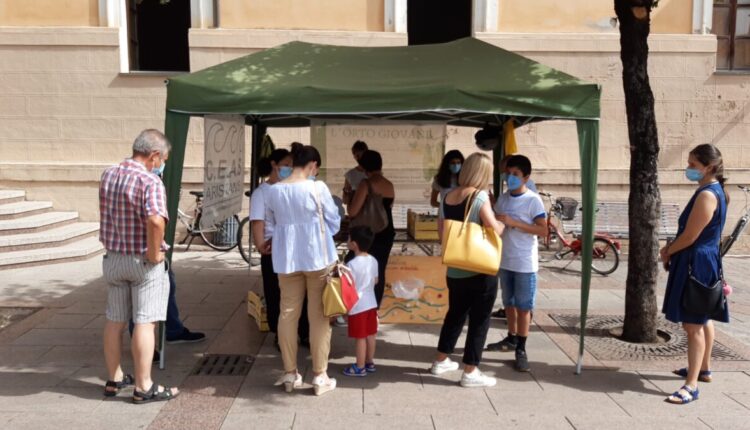 Oristano, giornata mondiale degli oceani: il Ceas dona piantine di luffa