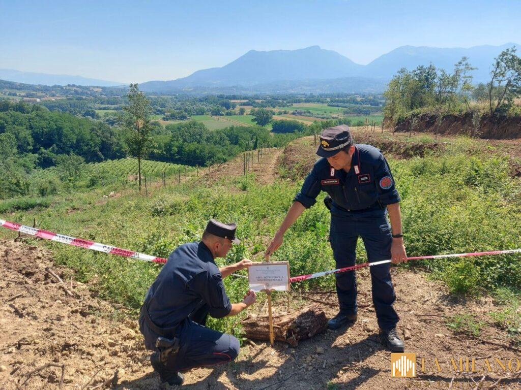 Caserta, disboscamento e installazioni abusive a Castel Campagnano: intervengono i Carabinieri Forestali