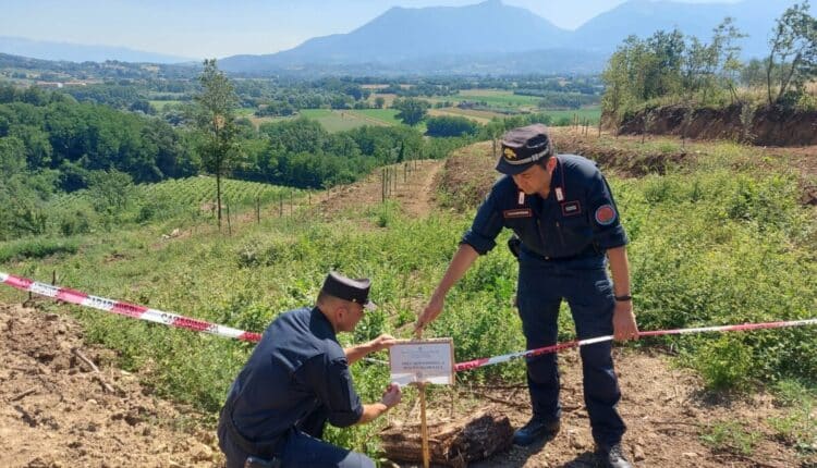 Caserta, disboscamento e installazioni abusive a Castel Campagnano: intervengono i Carabinieri Forestali