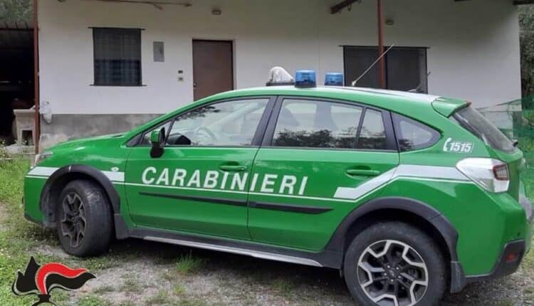 Trapani, pilotava il drone su un'area protetta: denunciato