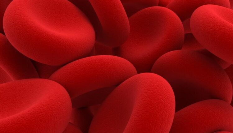 Roma, donazione Tricolore in Piazza del Quirinale a Roma