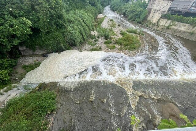 Salerno, sequestri in azienda zootecnica dopo i controlli.