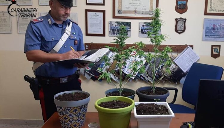 Trapani, denunciato 52enne per coltivazione di marijuana