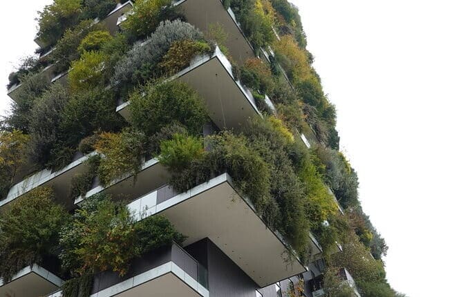 49954358543_90de20d870_b