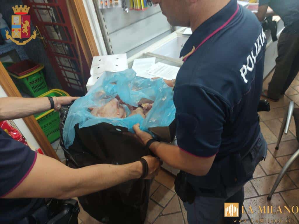 Roma, condizioni igieniche precarie: chiuso un mini-market