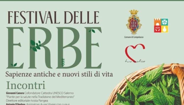 WhatsApp Image 2022-07-09 at 12.36.10 (1)