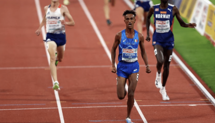 Schermata 2022-08-23 alle 19.59.37