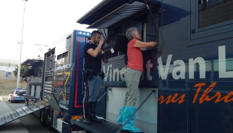 WhatsApp Image 2022-08-06 at 11.40.43