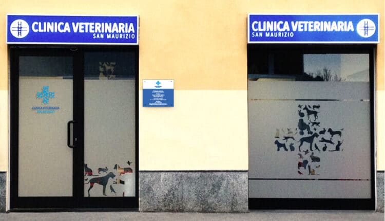 clinica veterinaria san maurizio