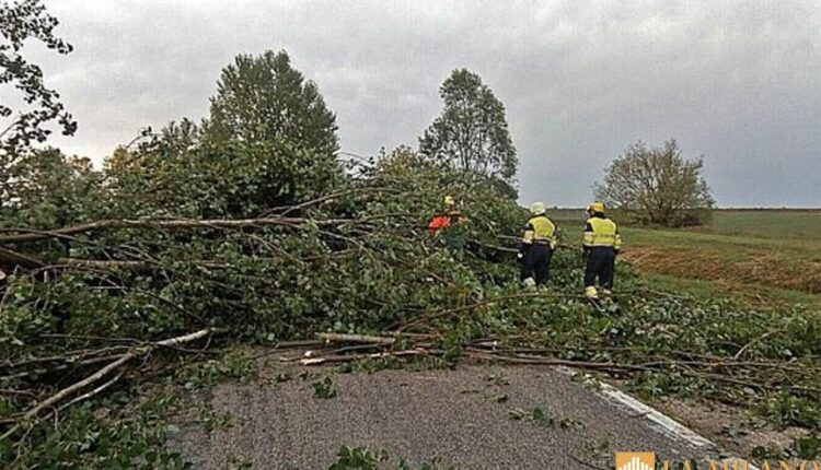 Emilia-Romagna, maltempo e danni agricoli