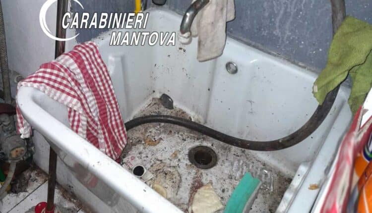 20092022 - SAN BENEDETTO PO - CONTROLLI ANTISOFISTICAZIONE DEI CARABINIERI