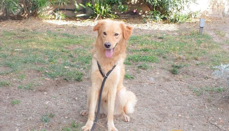 CE8037AB-FDA0-4EB5-9E32-5A4FD3E2BF78