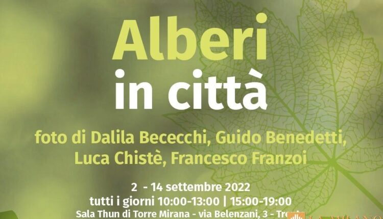 Trento, alla scoperta degli alberi urbani