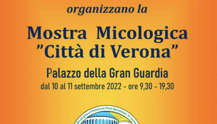 mostra micologica verona