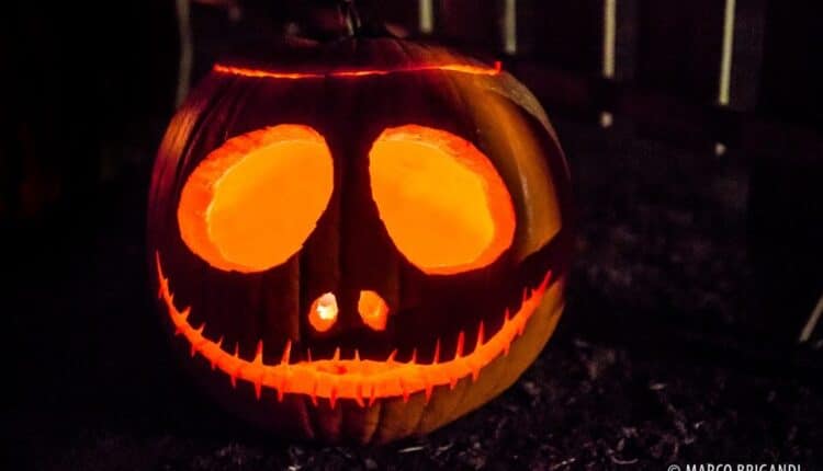 Busto Arsizio (VA), “Celtic New Year - Capodanno Celtico” al via IX edizione lunedì 31 ottobre 2022 al Museo del Tessile