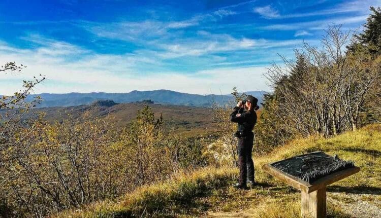 20221026 FOTO CC FORESTALE