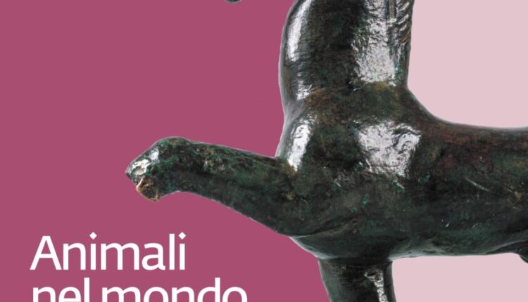 Verona, il museo archeologico si arricchisce di reperti con una collezione di raffigurazioni animali mai vista prima