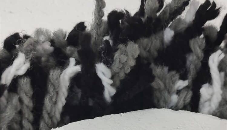 NIDUS-Sonia-Scaccabarozzi-1