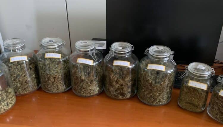 Frosinone, altro colpo inferto al mercato dello spaccio grazie alla Polizia di Stato