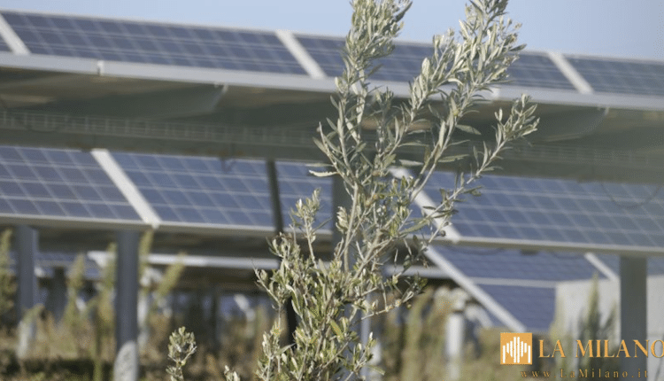 Siracusa, impianto fotovoltaico di Cavadonna bloccato dal Tar