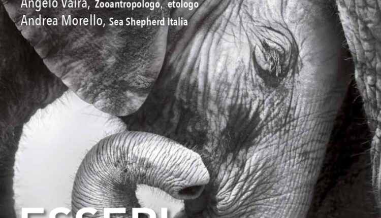 Milano, arriva Jane Goodall: la celebre etologa naturalista protagonista dell’incontro “Essere senzienti. Le ragioni di una speranza”