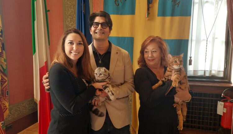 Verona, torna l’Esposizione Internazionale Felina
