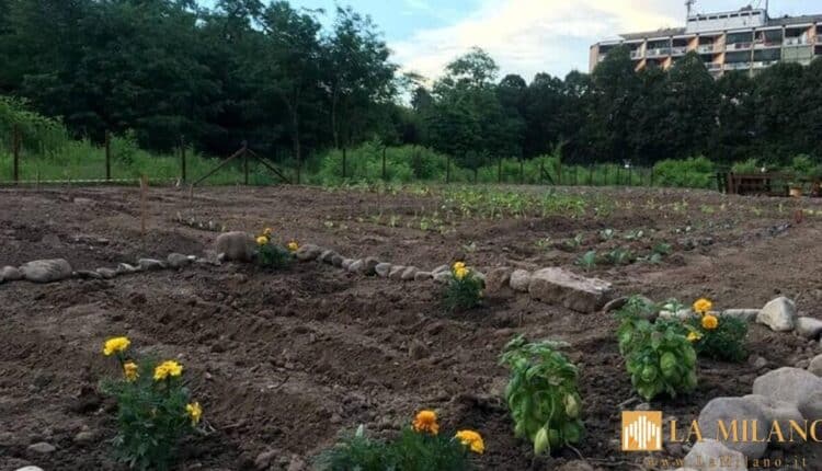 Trento, partono le iniziative del patto "Orto Aperto 3.0"