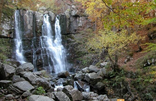 Bologna, escursione per i 200 anni del Corpo Forestale