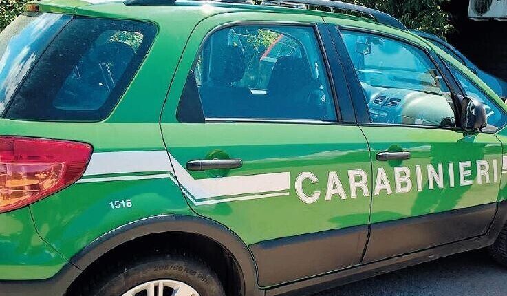 Frosinone, tre misure cautelari per incendio boschivo doloso. Le nuove tecnologie e metodologie dell'Arma