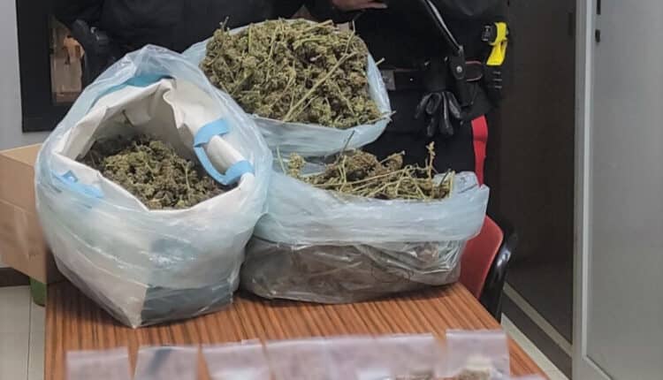 20221128 Foto CC Bologna