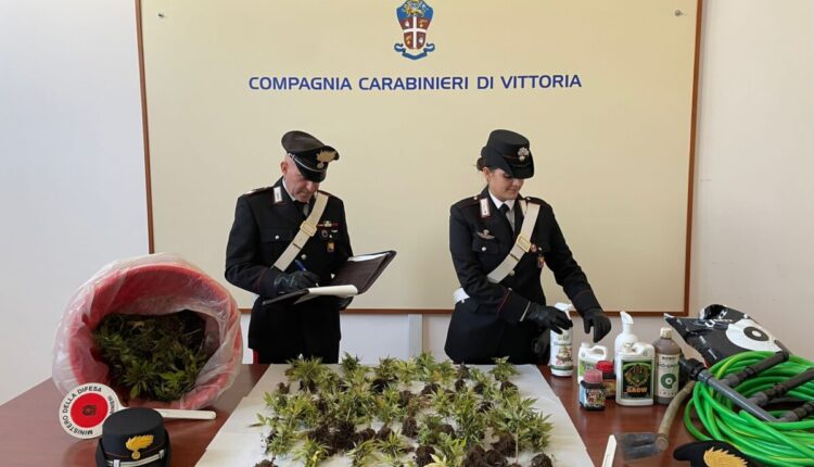 Ragusa, scoperta una piantagione di 243 piante di marijuana: Carabinieri arrestano giovane coppia di tedeschi