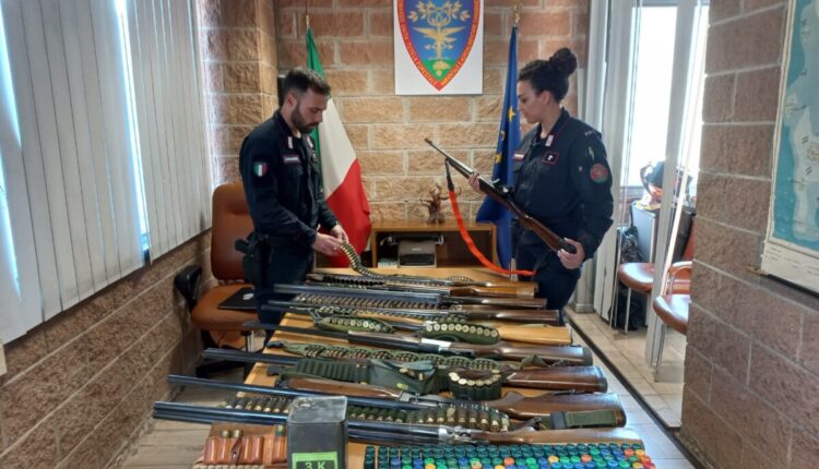 Siena, cane da caccia ucciso con colpi di armi da fuoco