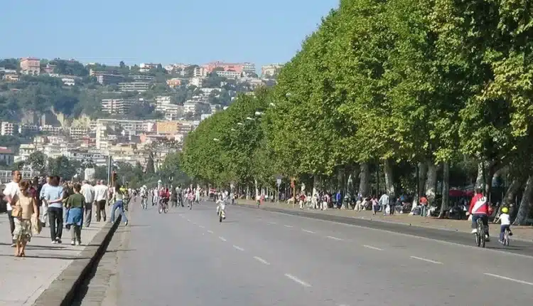 Napoli, seconda giornata per la cura del verde
