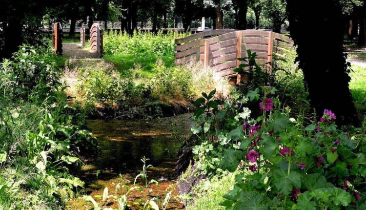 Milano, aperture straordinarie di sabato al Museo Botanico