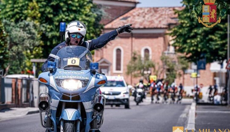 Forlì, salvati dalla A14 due labrador riconsegnati al proprio padrone