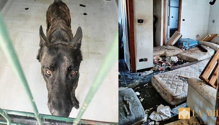 foto per siti sequestro genova