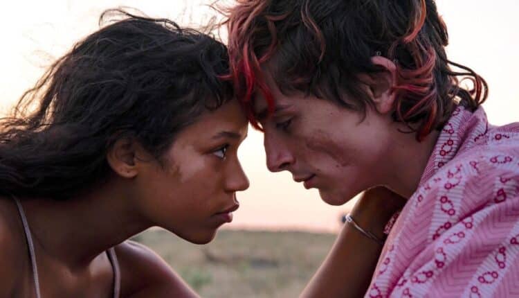 Bones and All anteprima a Milano: Timothèe Chalamet incontra il pubblico in Italia.