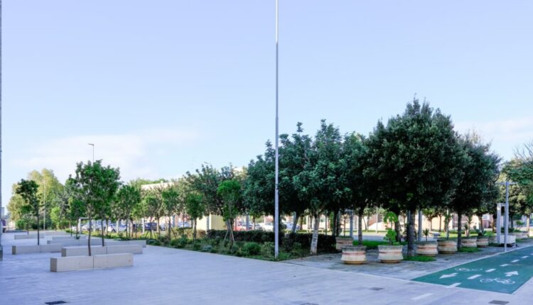 photo_2022-11-13_13-22-20