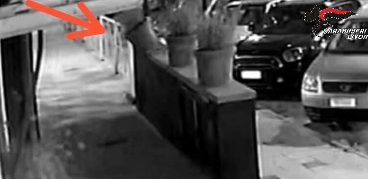 Cecina (LI), danneggia fioriere davanti a bar e negozi, denunciato 43enne