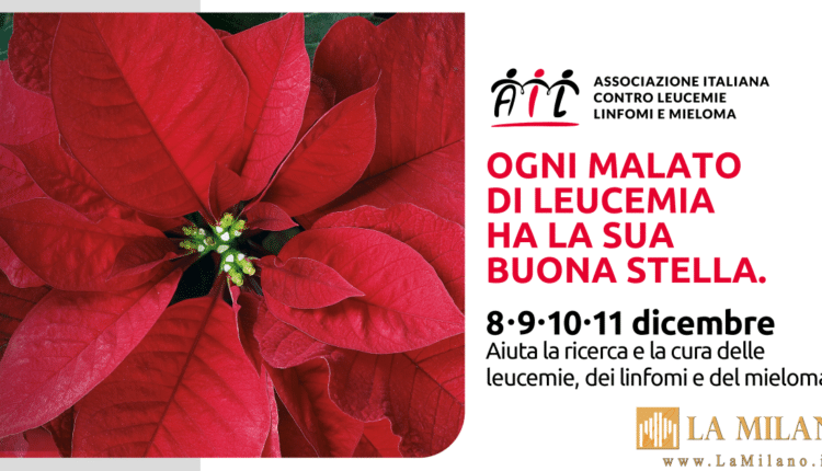 Siracusa, l’AIL torna in piazza per quattro giorni con “Stelle di Natale 2022”.