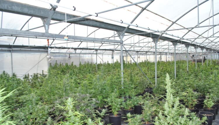 Latina, contrasto al traffico di stupefacenti